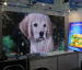 Custom Indoor Rental LED Display High quality