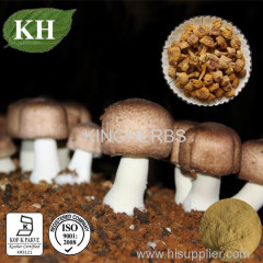 Agaricus Blazei Extract Polysaccharides