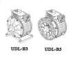 speed variator UDL Series china suppliers