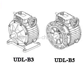 china manufacturer speed variator UDL Series