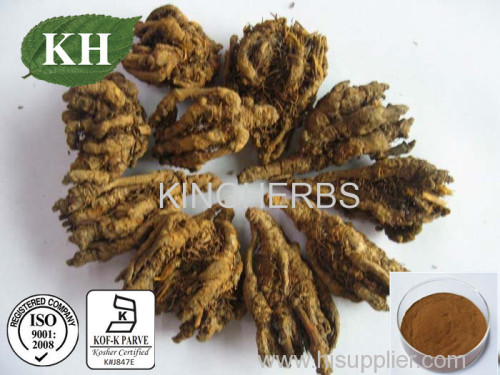 Coptis chinensis extract Berberine 5% 10% by HPLC