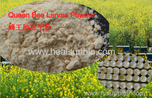 100% Nature Lyophilized Queen Bee Larvae Powder, Bee Larvae powder