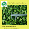 Frozen IQF Broccoli Frozen Vegetables