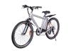 Alpine Trails Electric Bicycle