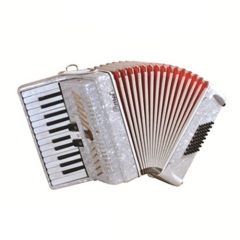 Parrot 26 Keys 48 Bass Piano Accordion With Case And Straps