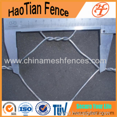 Galvanized Hexagonal Netting Chicken wire netting