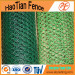 Galvanized Hexagonal Netting Chicken wire netting