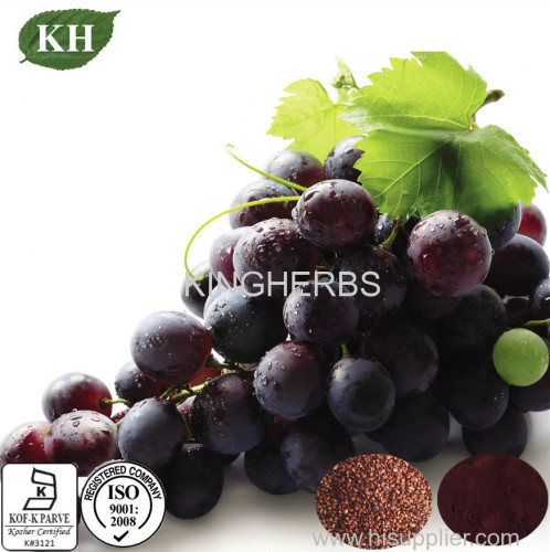 Grape Seed Extract Proanthocyanidins 95% and 98% by UV