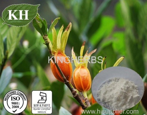 Gardenia Extract Geniposide 10%-98% by HPLC