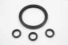 SA Oil Seal in FPM Material