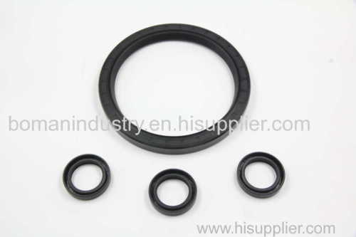 Viton Oil Seal in SC Type