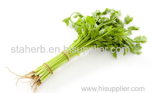 Apiin staherb natural ingredients