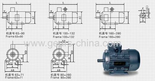 High quality shake head fan motor with TYGZ synchronous motor