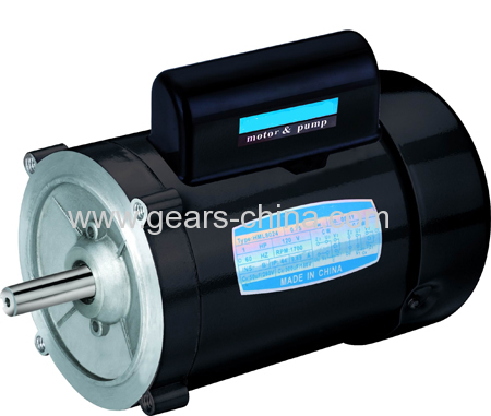 Three Phase and Single Phase IEC NEMA Standard Electric Motors