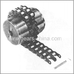 Flexible Roller Chain Coupling for Transformer