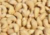 Cashew nuts and other nuts and kernels