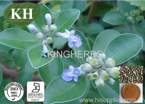 High Quality Chasteberry Extract Angusides 0.5% by HPLC;10:1