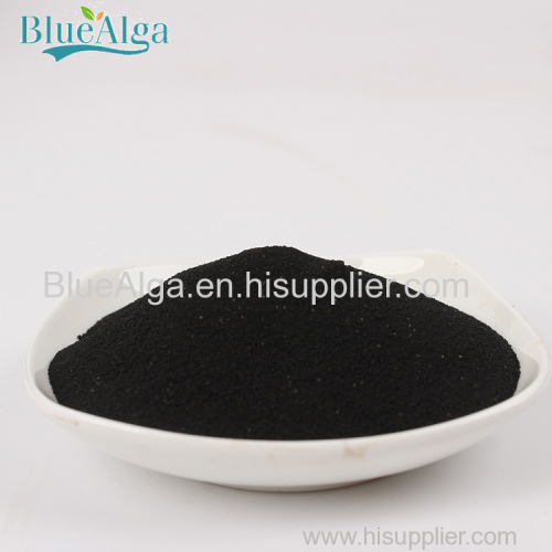 Seaweed for plants crops gardeners grows more seaweed extract fertilizer powder