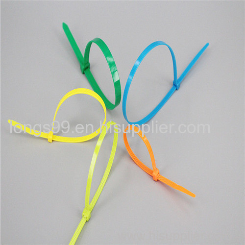 2.5x100mm Nylon Cable Ties