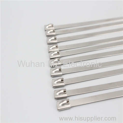 Stainless Steel Cable Ties