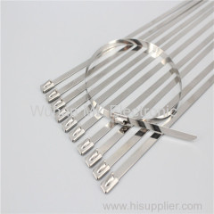 Stainless Steel Cable Ties