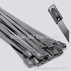 Stainless Steel Cable Ties