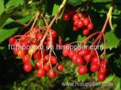 Sorbus Anthocyanins Product Product Product