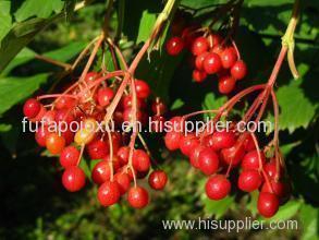 Sorbus Anthocyanins Product Product Product