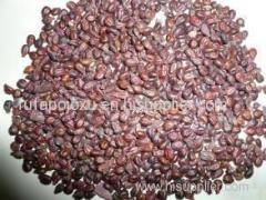 Grape Seed Oil Product Product Product