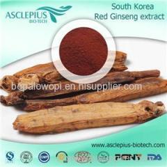 Korean Red Ginseng Extract POWDER Supplier Wholesale