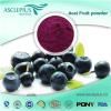 Acai Berry Extract Powder/acai Berry Juice Powder Supplier Wholesale