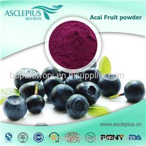 Acai Berry Extract Powder/acai Berry Juice Powder Supplier Wholesale