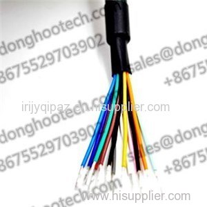 M12 To RJ45 Robust High Flex Data Cable 3meter 10ft For Industrial Teledyne Dalsa Camera Chain Flex Cables