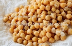 Continuous Peanut Frying Machine|Continuous Snacks Frying Equipment