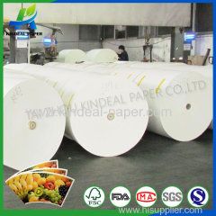 Clay and pe coated paper for cups