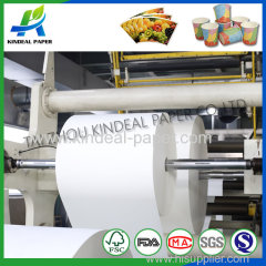 Pe coated paper for cups in roll