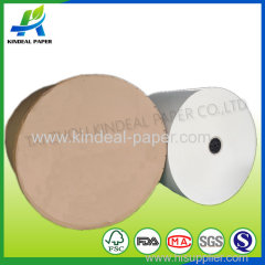 Pe coated paper for cups in roll