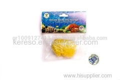 Natural Sea Sponge for Babies