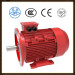 Changzhou Nanfang Brand Three phase motor