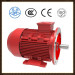 Changzhou Nanfang Brand Three phase motor