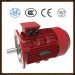 Changzhou Nanfang Brand Three phase motor