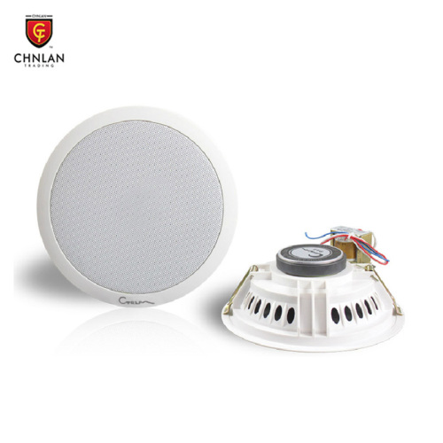 In ceiling speaker CA824