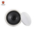 In ceiling speaker CA824