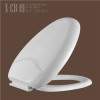 High Quality Soft Close Slowly down PP Family Toilet Seat CB19