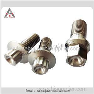 Pure Titanium Nuts and Screws with Bright Surface According to Customers Drawing