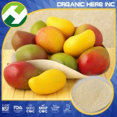Mango Fruit Powder Mangiferin Price