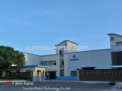 Alloy Aluminum Die Casting Part