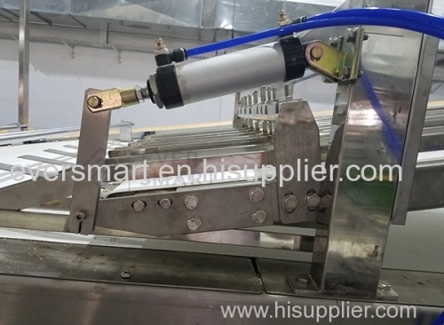 Biscuit Automatic Packaging Line
