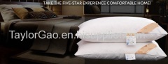 Home And Hotel Used Luxury White Soft Down And Feather Wholesale Ultimate Travel Pillow Ffilling Material Cases