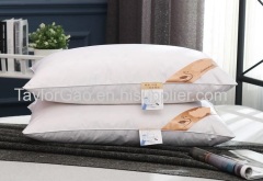 Home And Hotel Used Luxury White Soft Down And Feather Wholesale Ultimate Travel Pillow Ffilling Material Cases